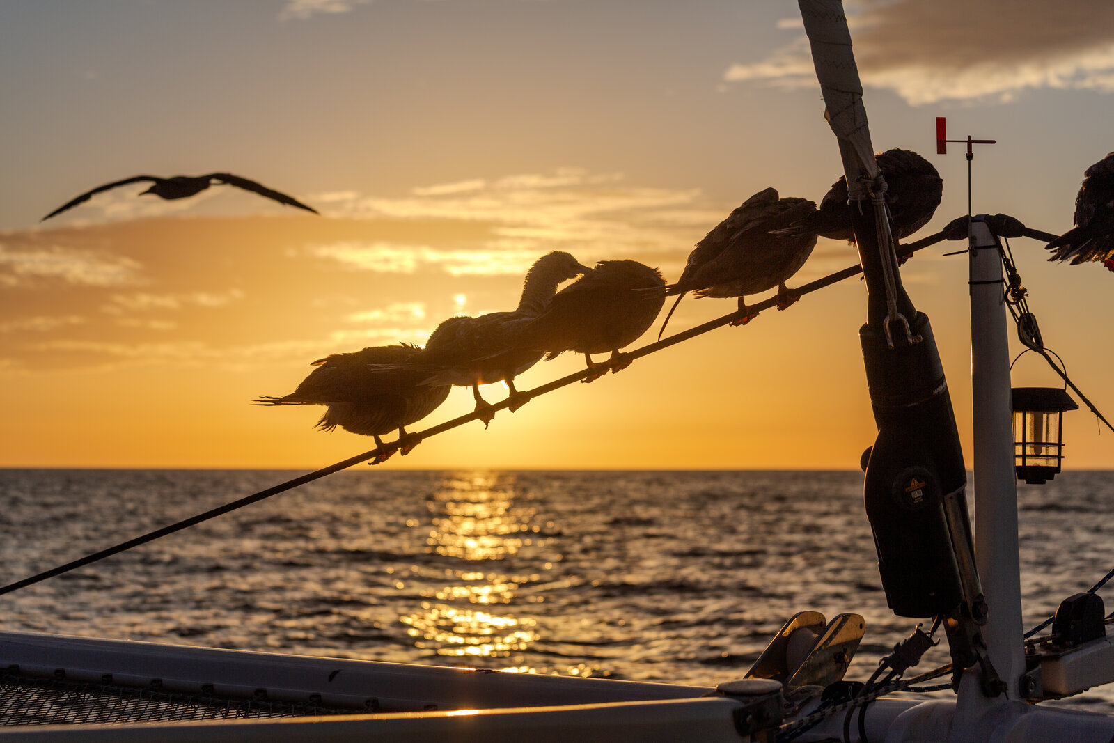 John Deere tractor by a greenhouse