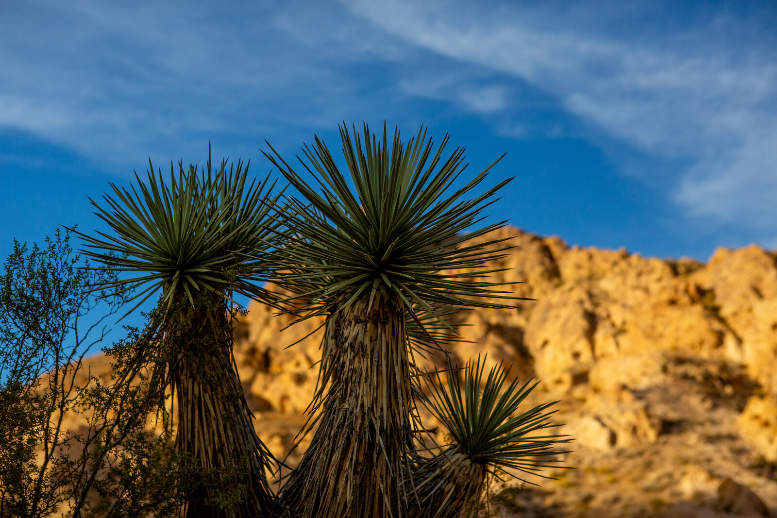 Black drone in flight