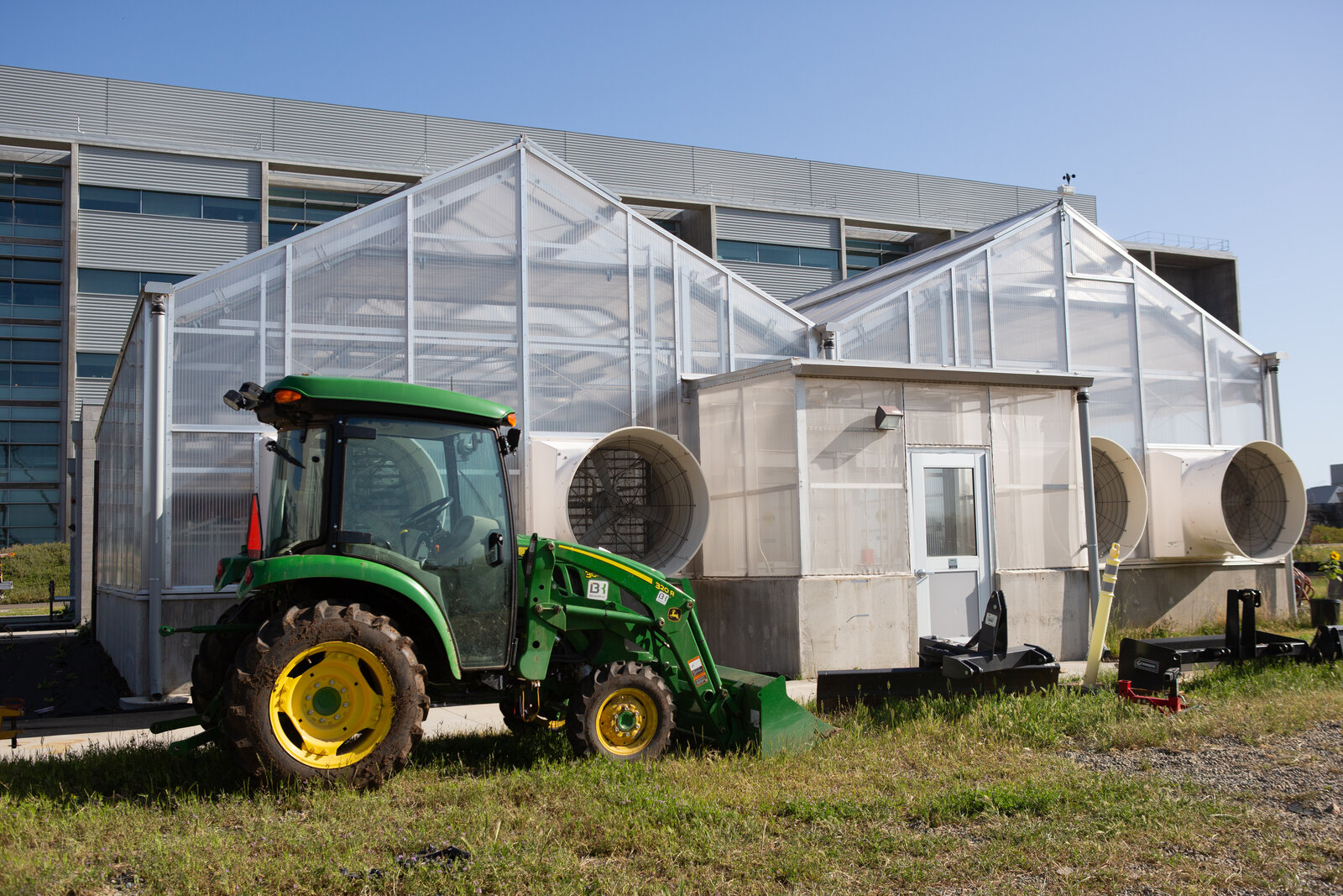 Bird perched in the field