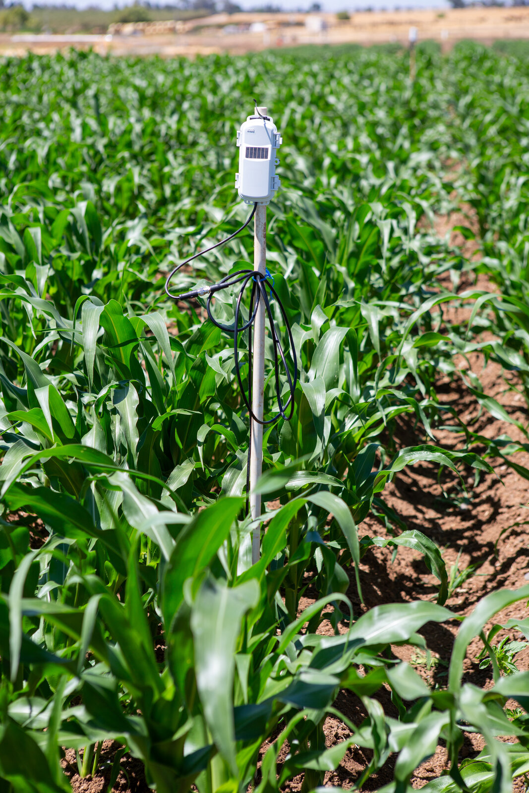UC Merced Experimental Smart Farm sign